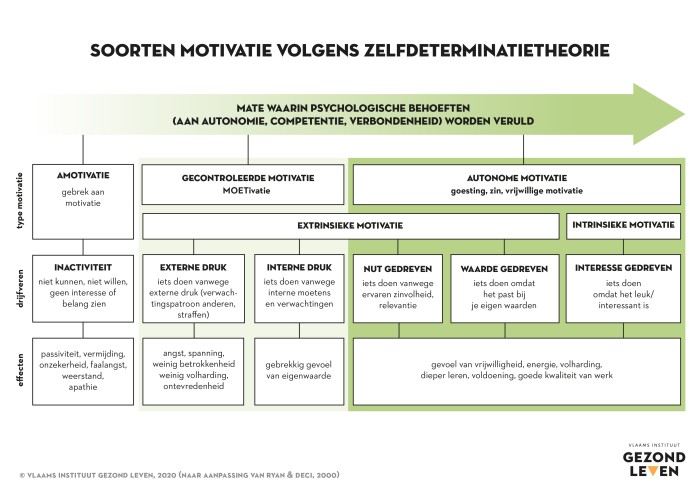 Soorten motivatie volgens zelfdeterminatietheorie