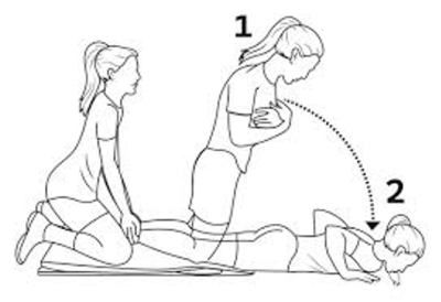 Nordic hamstring curl