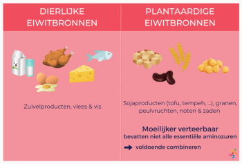 Dierlijke vs. plantaardige eiwitbronnen