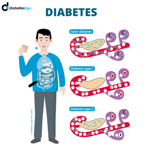 Wat is Diabetes.png